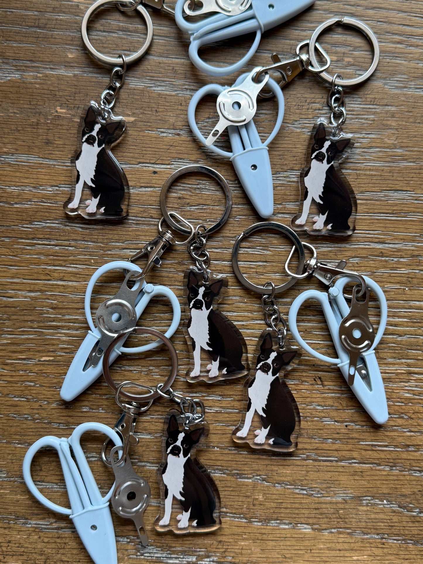 Boston Terrier Black & White Notion Keychain
