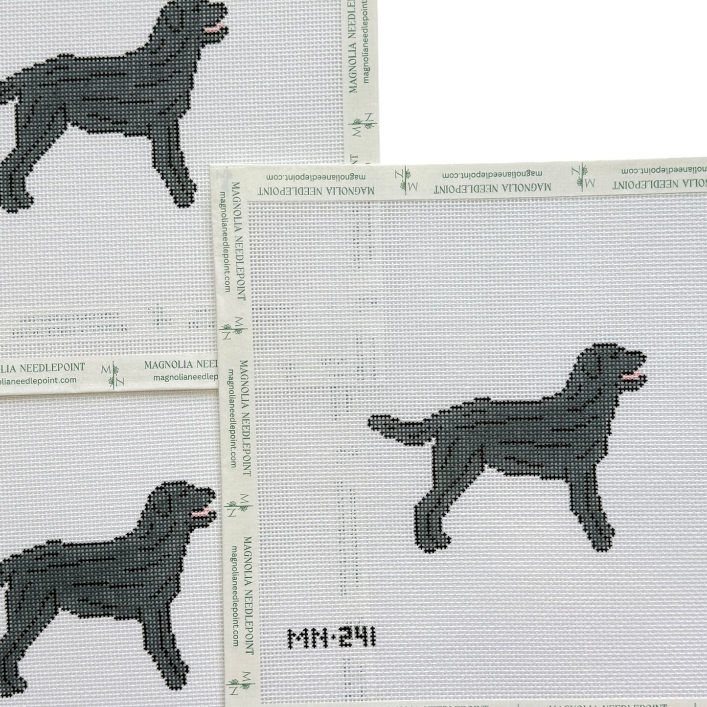 Black Labrador Retriever