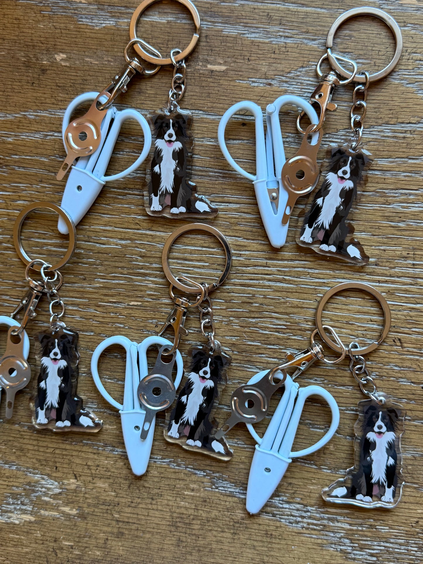 Black & White Border Collie Notion Keychain