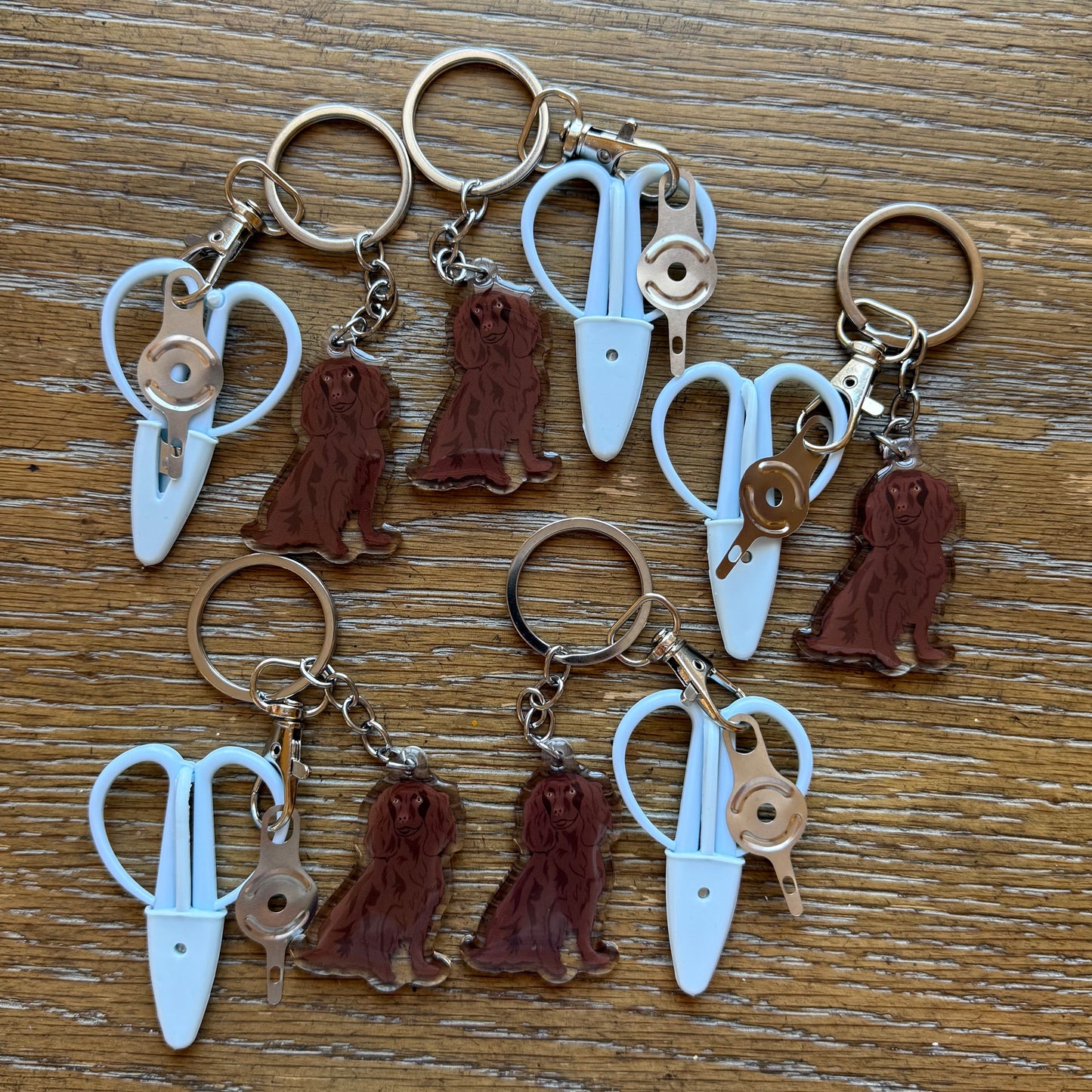 Brown Boykin Spaniel / Cavalier Notion Keychain