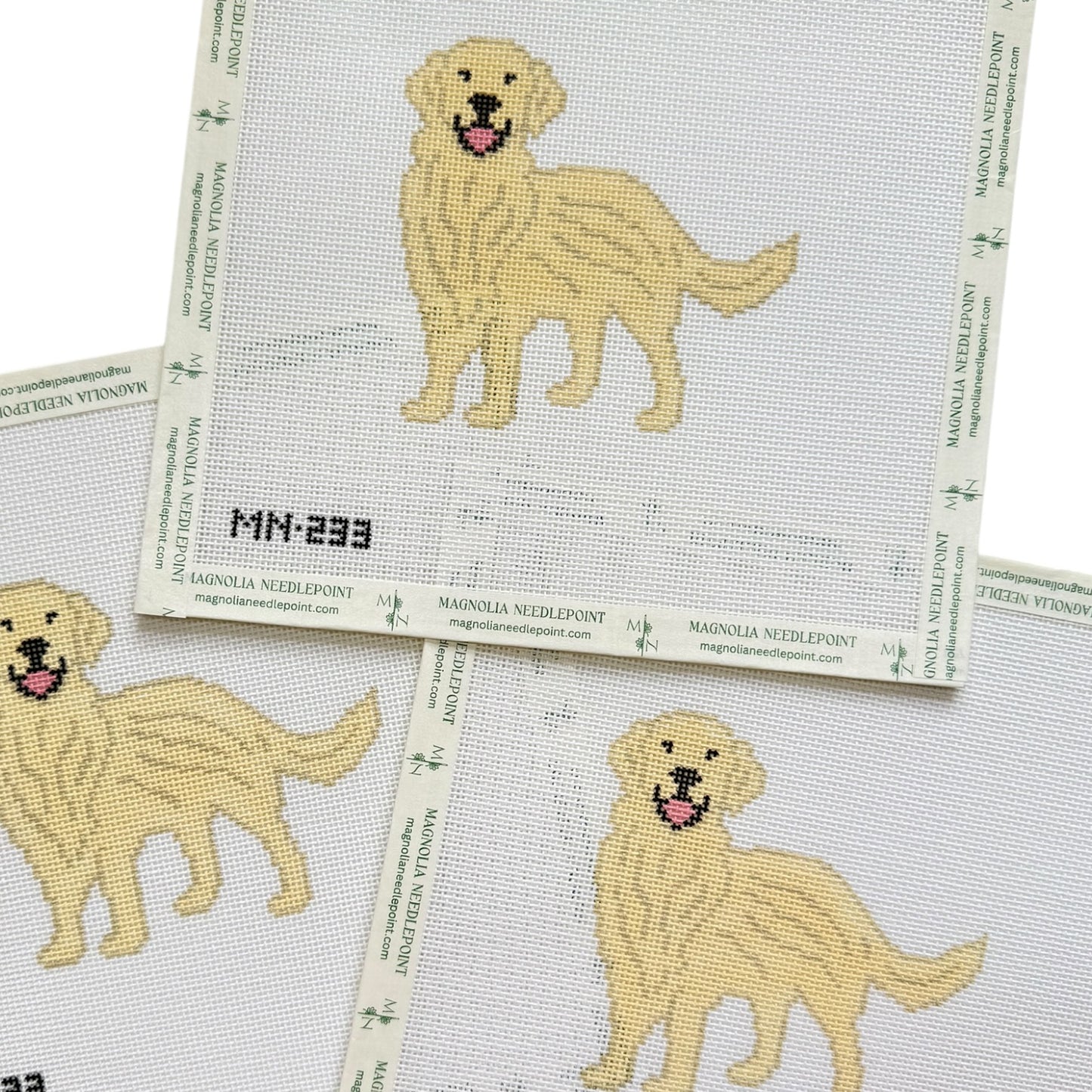 English Cream Golden Retriever