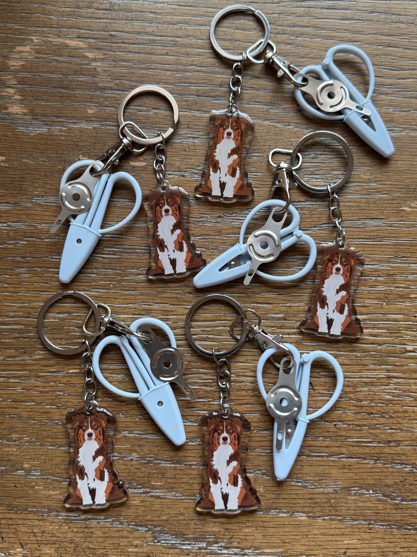 Australian Shepherd Brown/Red Notion Keychain