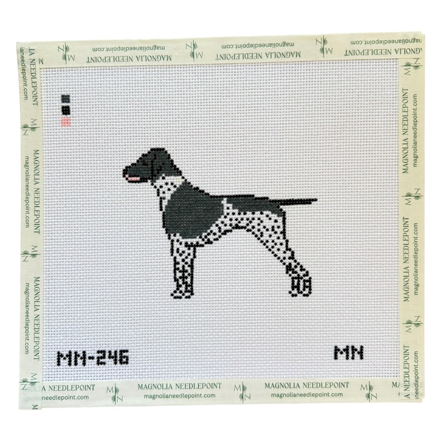 Black German Shorthaired Pointer GSP