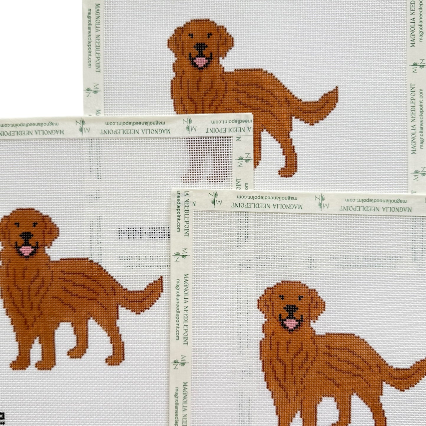 Red Golden Retriever