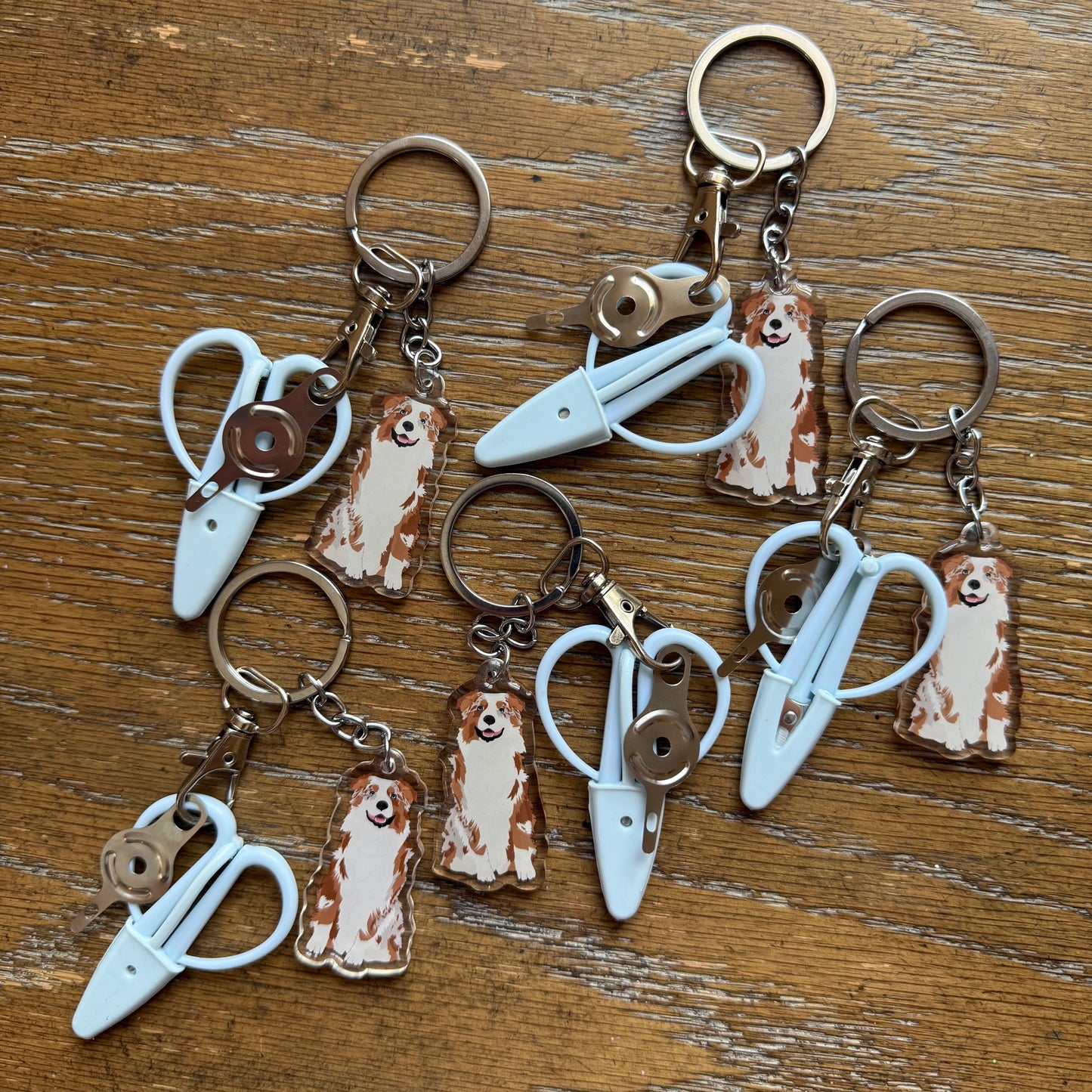 Australian Shepherd Red Merle Notion Keychain