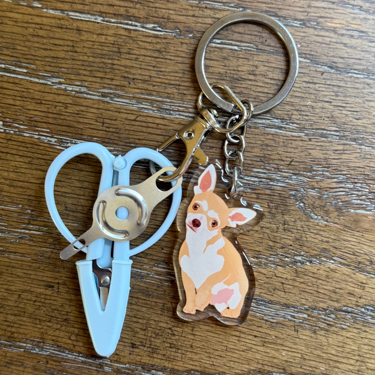Blonde Chihuahua Notion Keychain