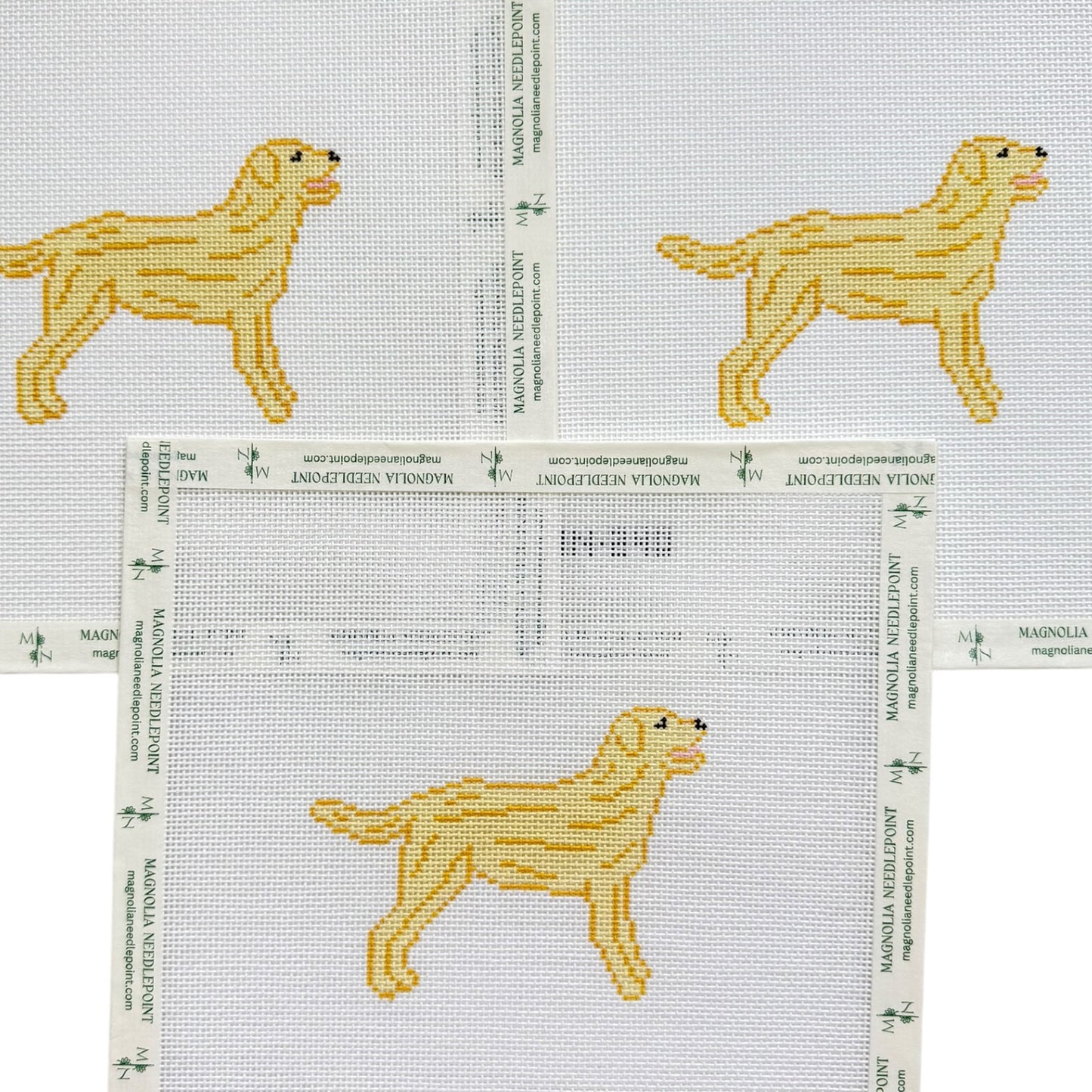 Yellow Labrador Retriever