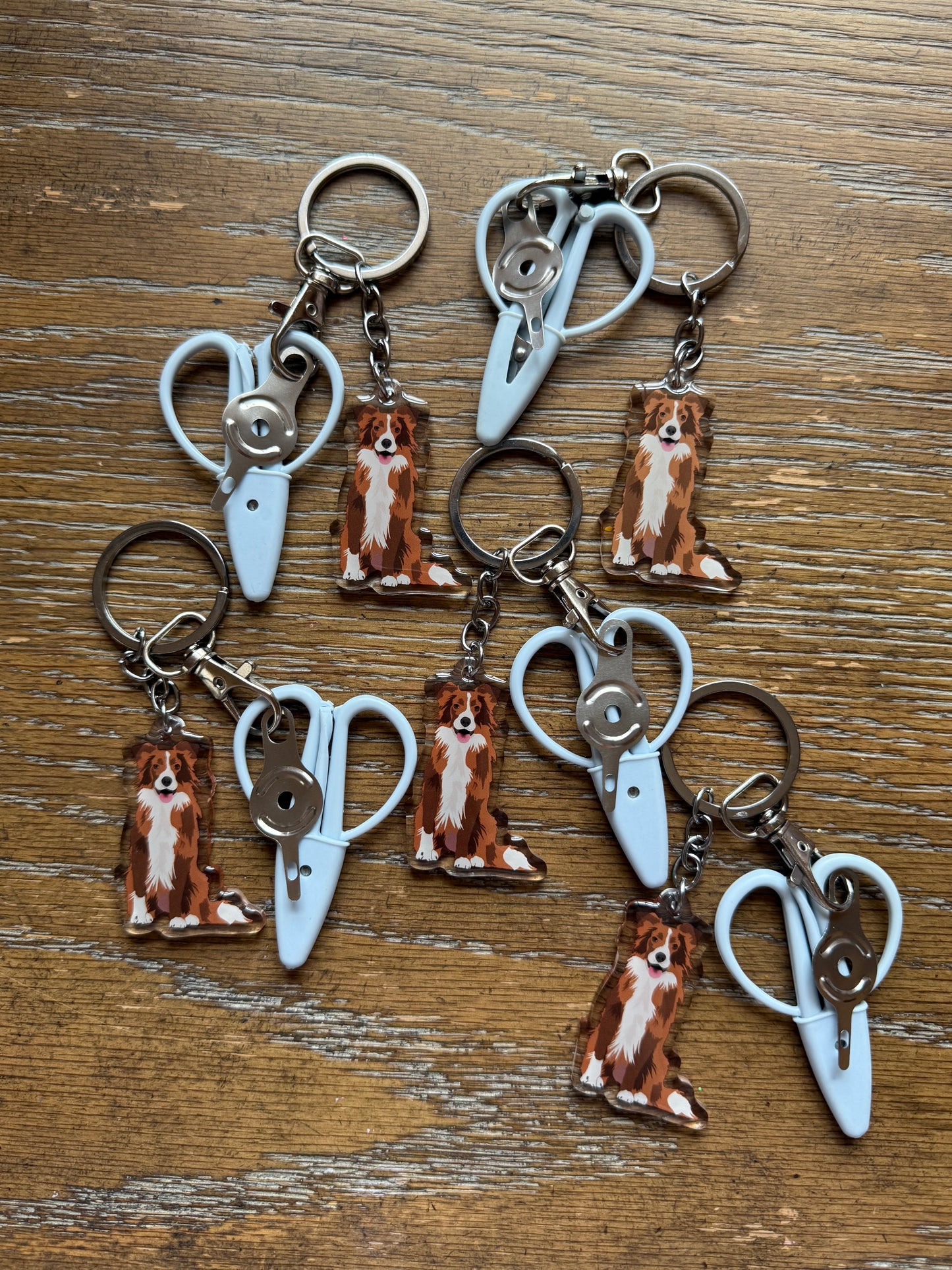 Brown Border Collie Notion Keychain