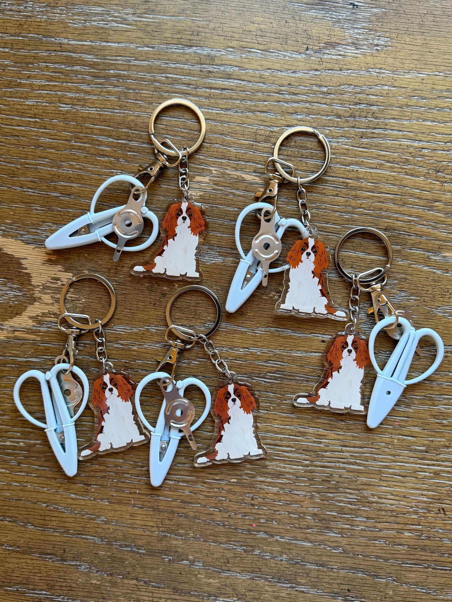 Red & White Cavalier King Charles Spaniel Notion Keychain