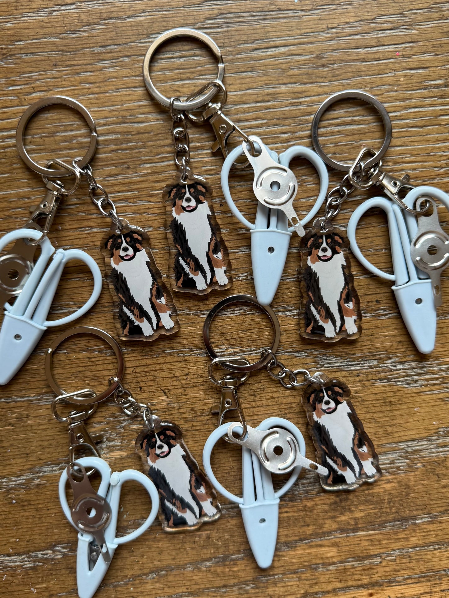 Australian Shepherd Black Tri Color Notion Keychain