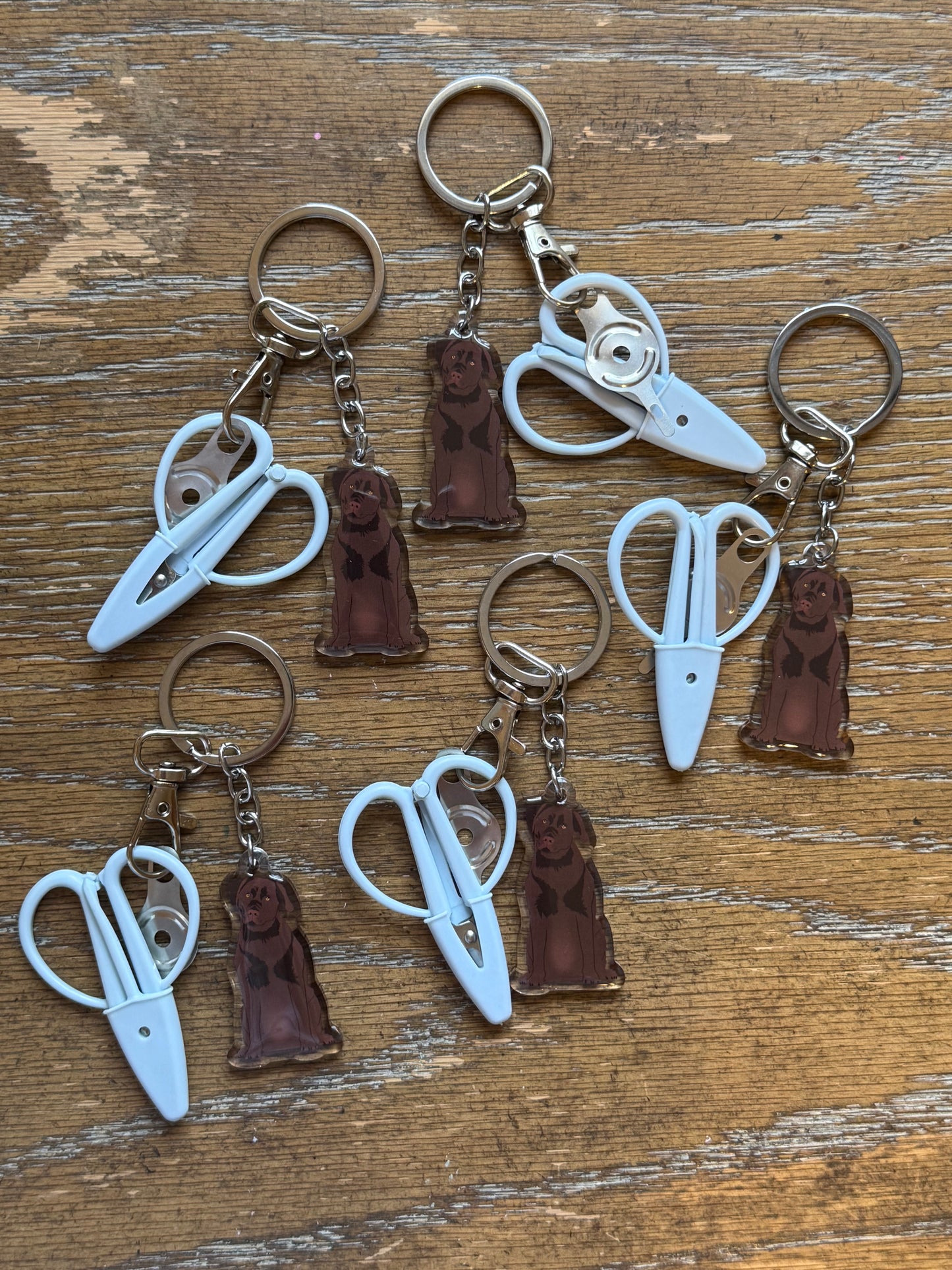 Chocolate Brown Lab Labrador Retriever Notion Keychain