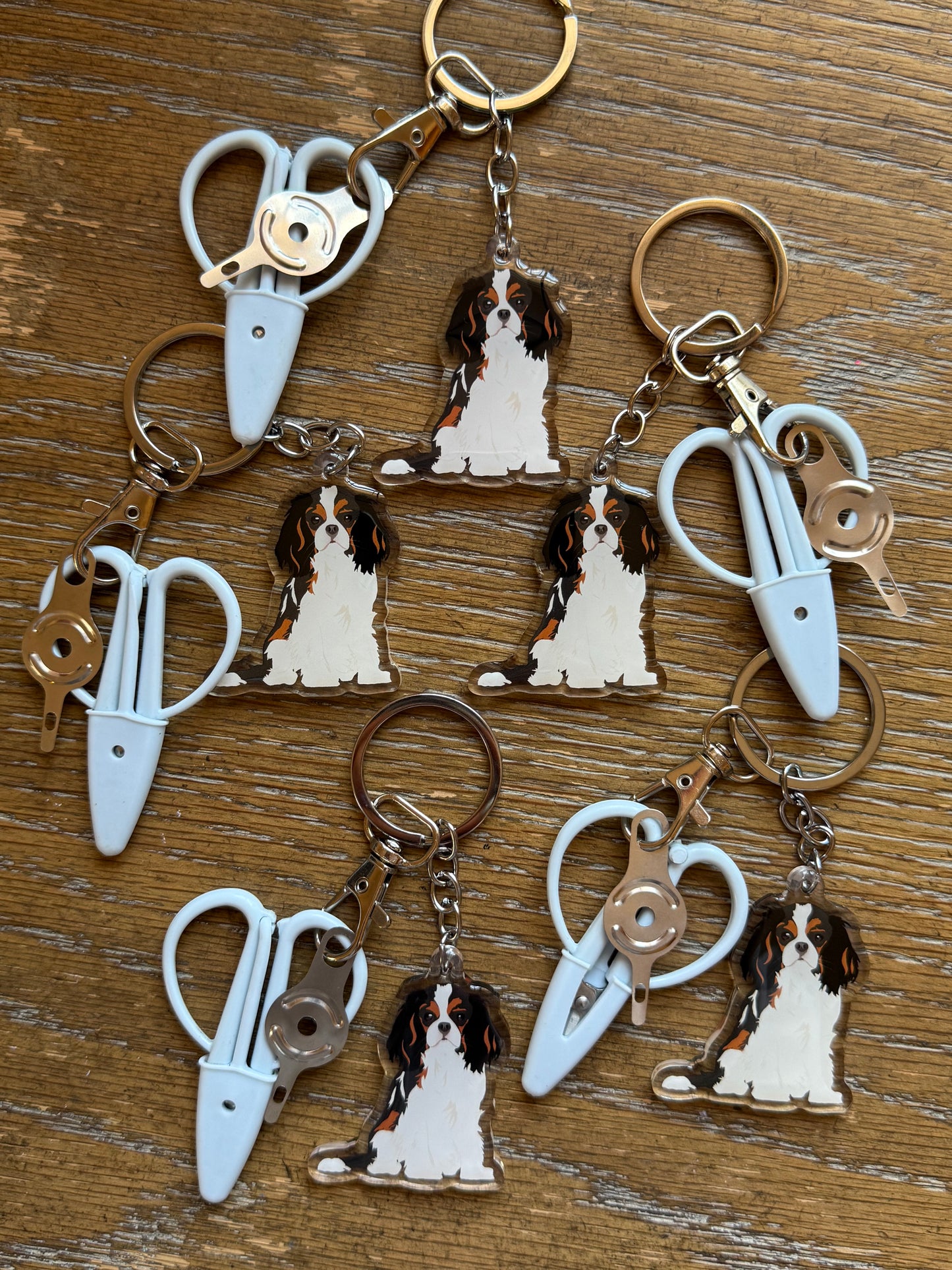 Black & Brown Cavalier King Charles Spaniel Notion Keychain