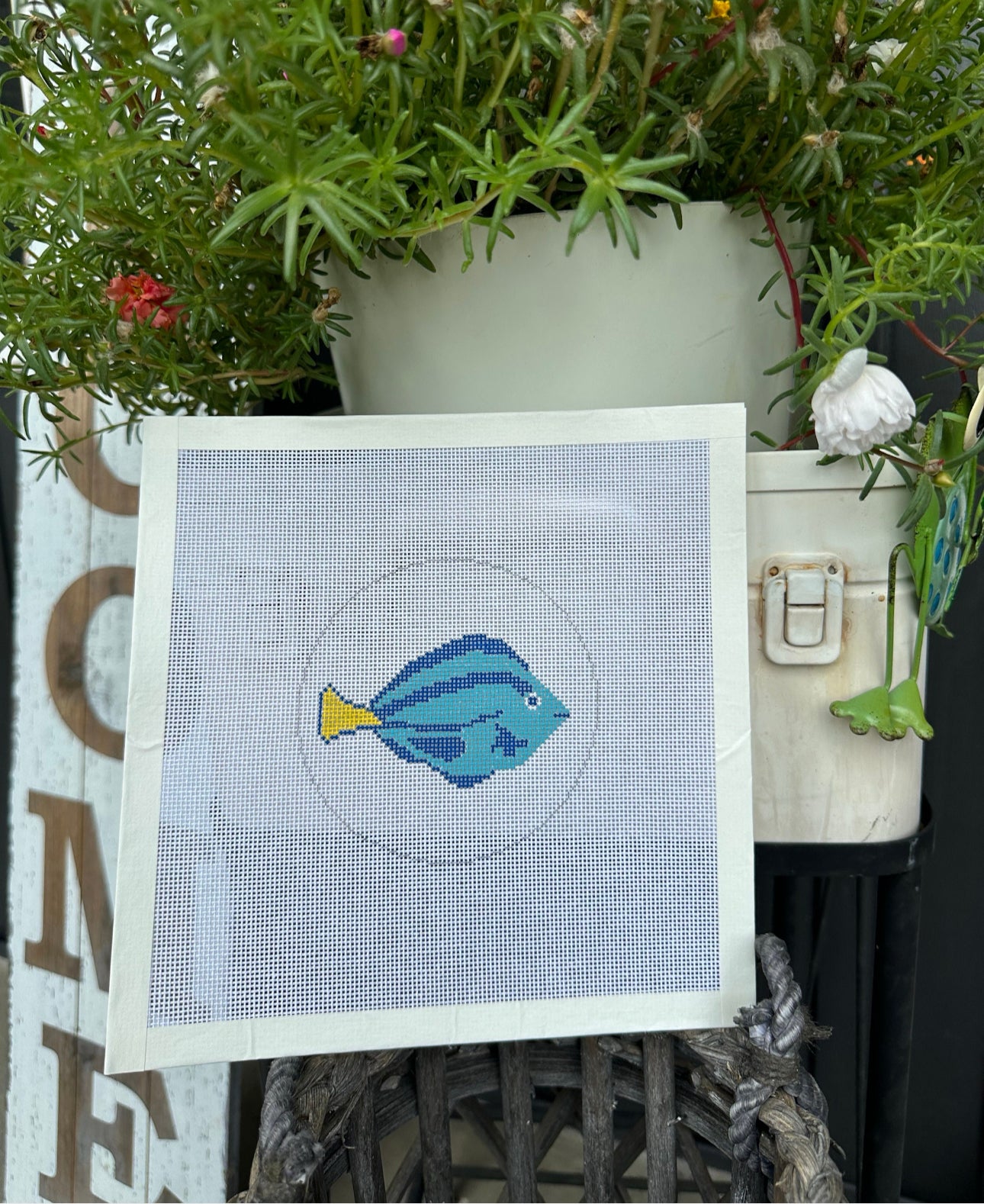 Blue Tang Fish Dory