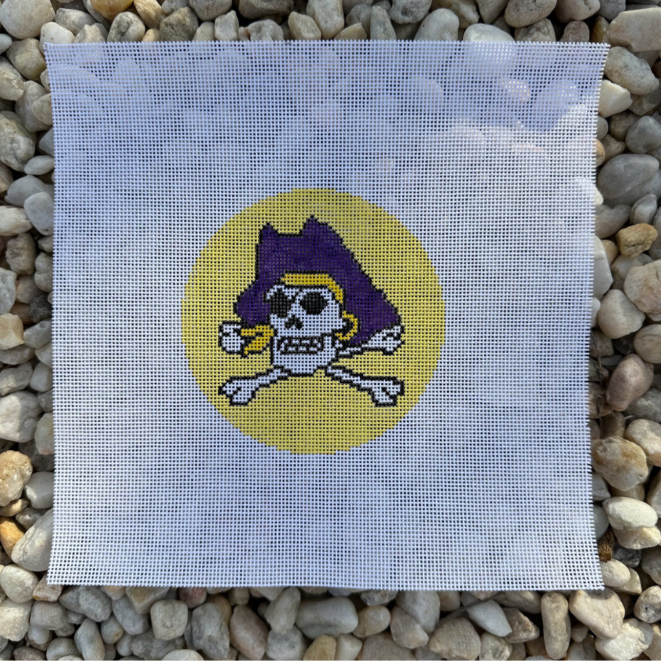 Pirate ECU East Carolina Needlepoint Canvas Handpainted on 18 Count Mesh
