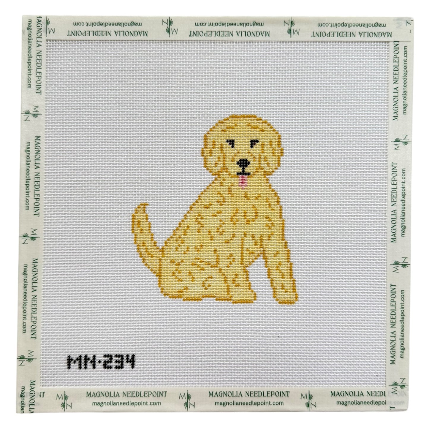 Blonde Doodle / Poodle