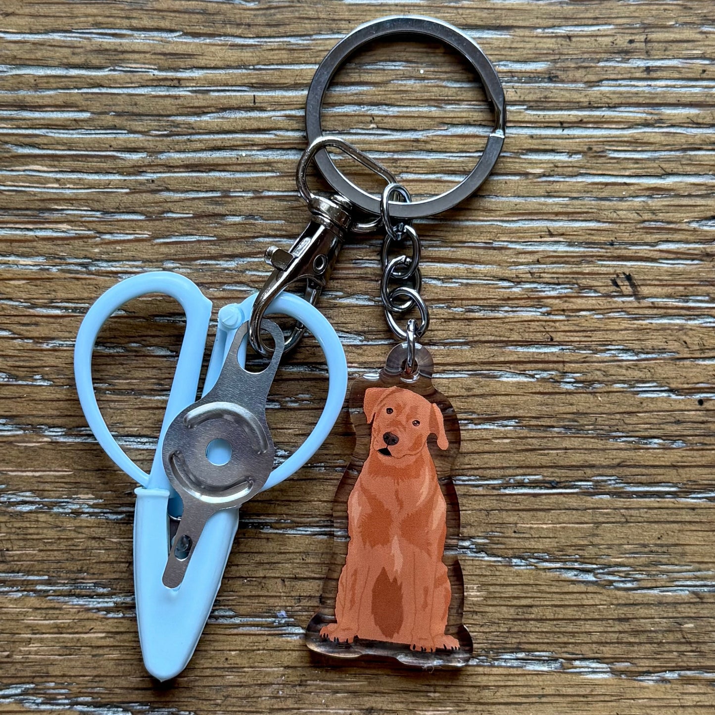 Red Lab Labrador Retriever Notion Keychain