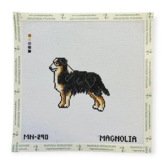 Australian Shepherd Black Tri Color
