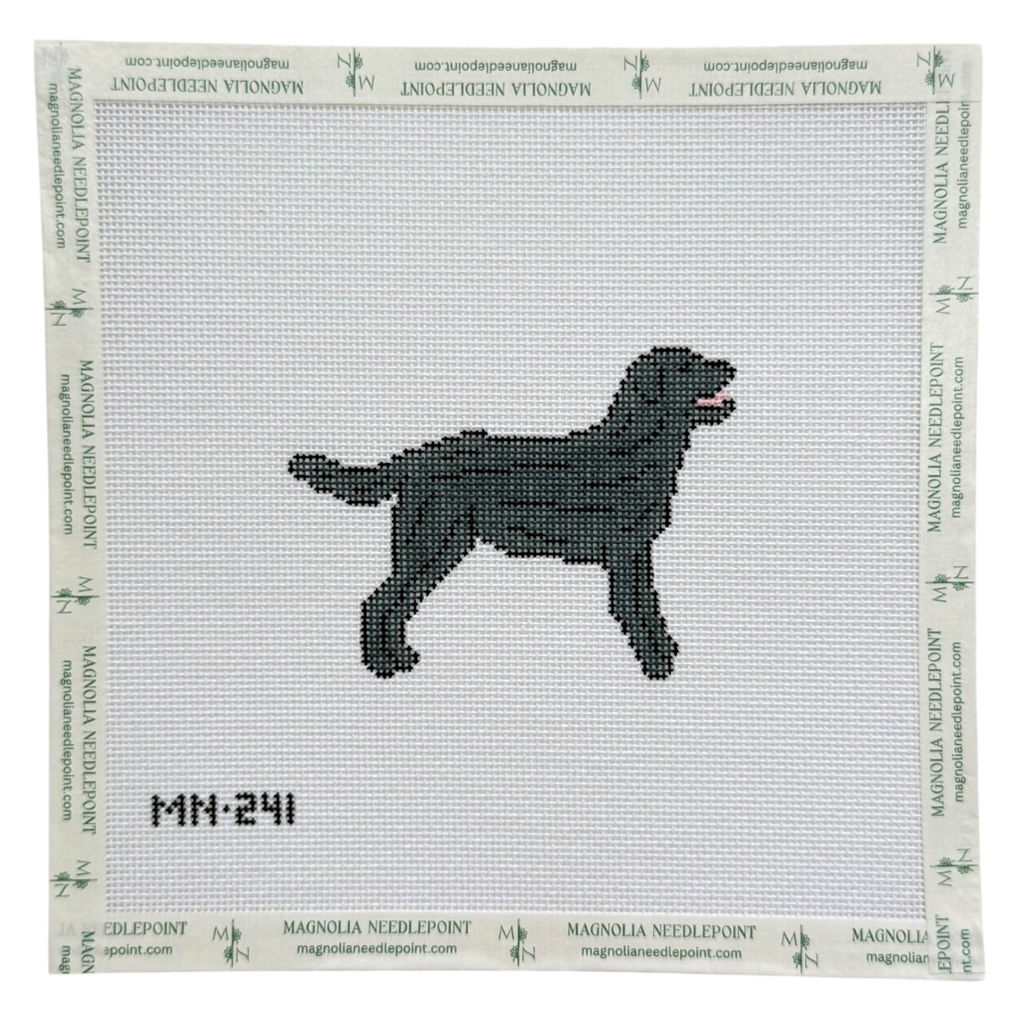 Black Labrador Retriever
