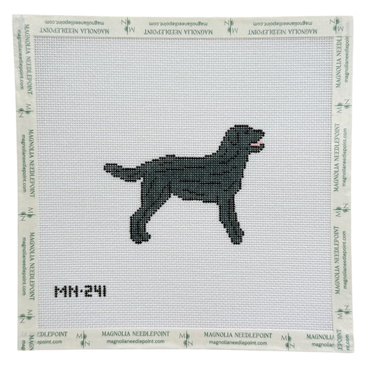 Black Labrador Retriever