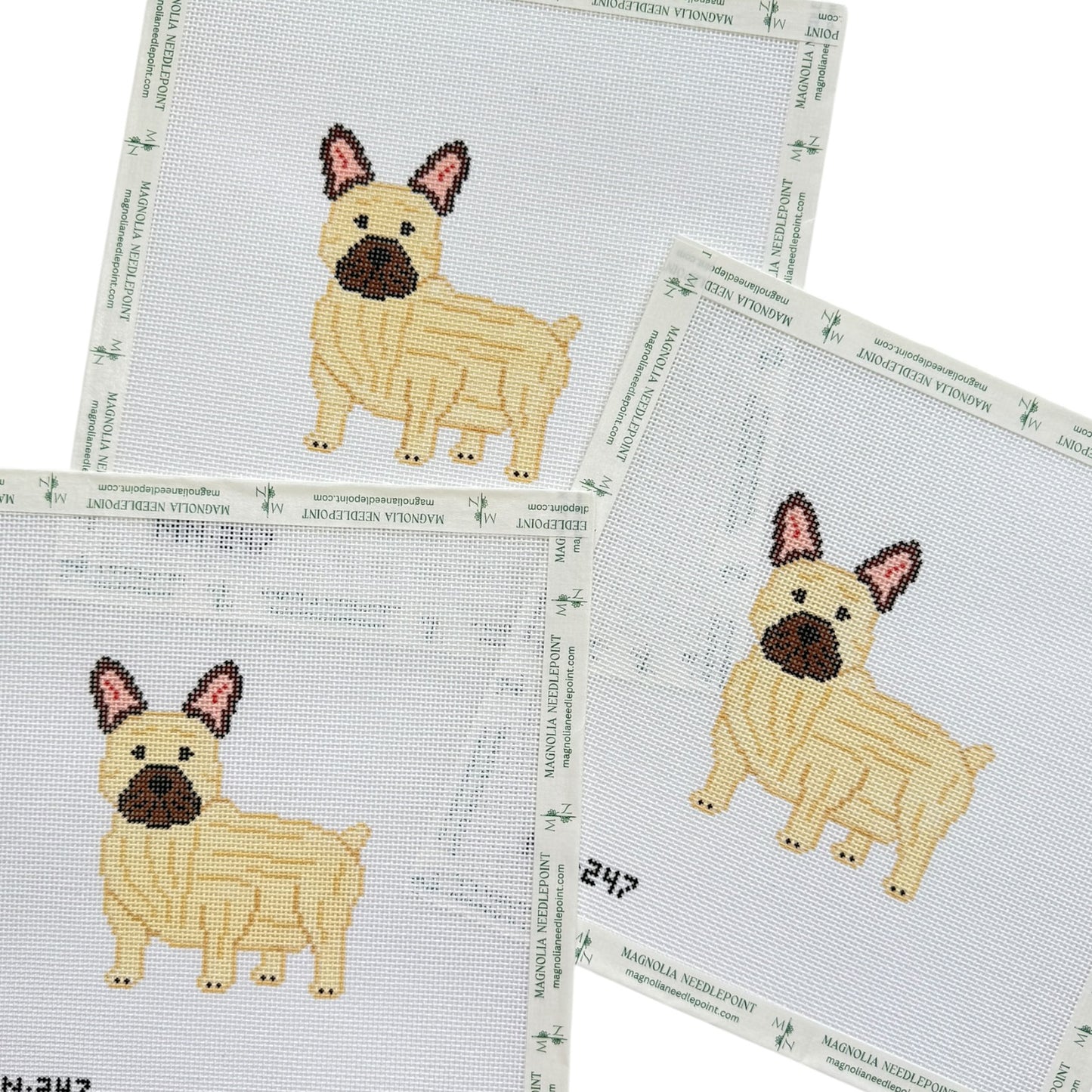 Fawn Tan Frenchie