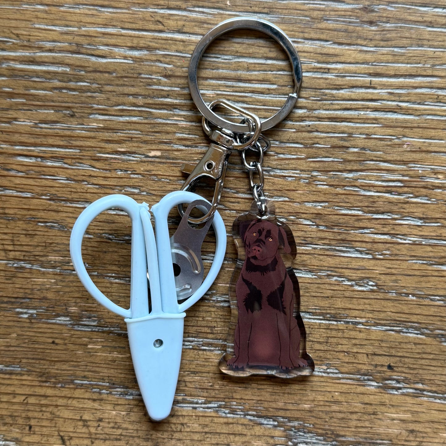 Chocolate Brown Lab Labrador Retriever Notion Keychain