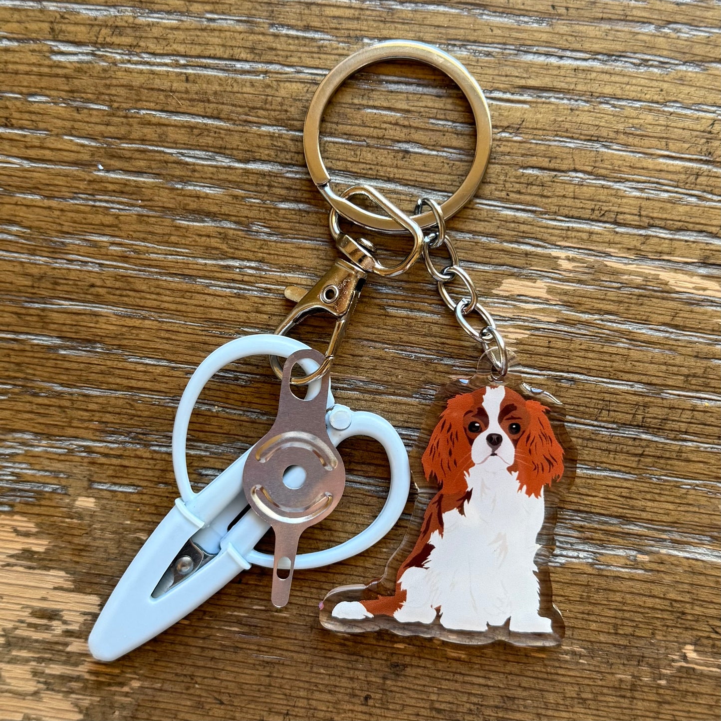 Red & White Cavalier King Charles Spaniel Notion Keychain