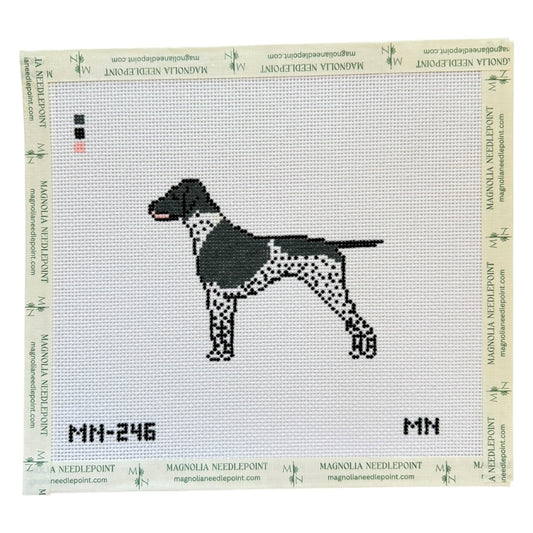 Black German Shorthaired Pointer GSP