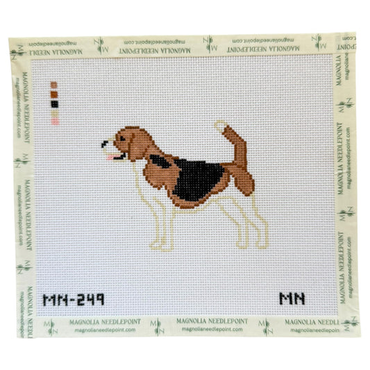 Beagle