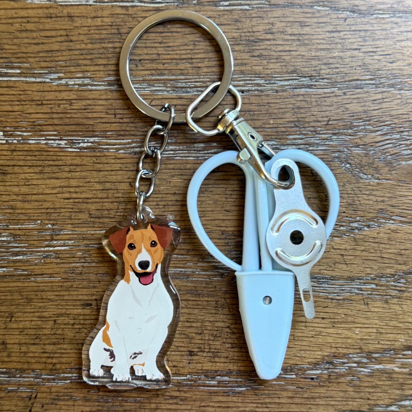 Jack Russell Terrier Notion Keychain