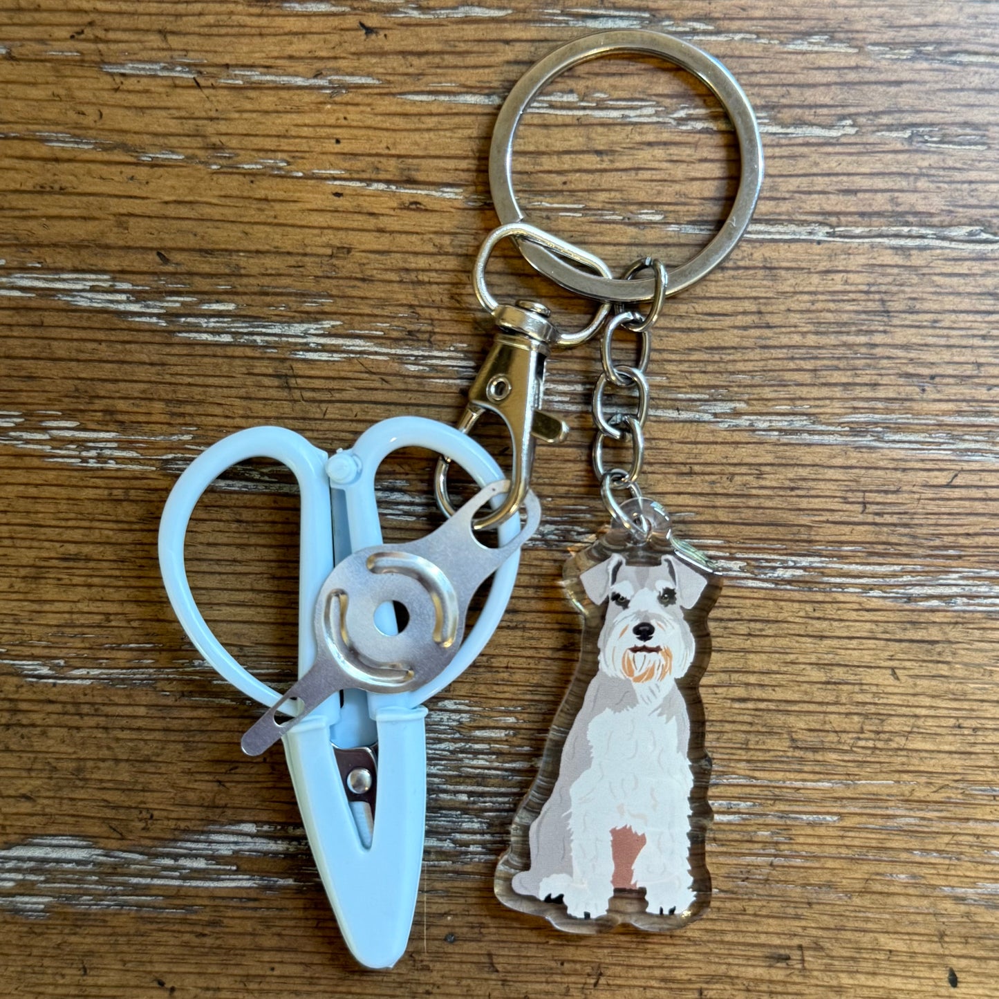 Schnauzer Notion Keychain