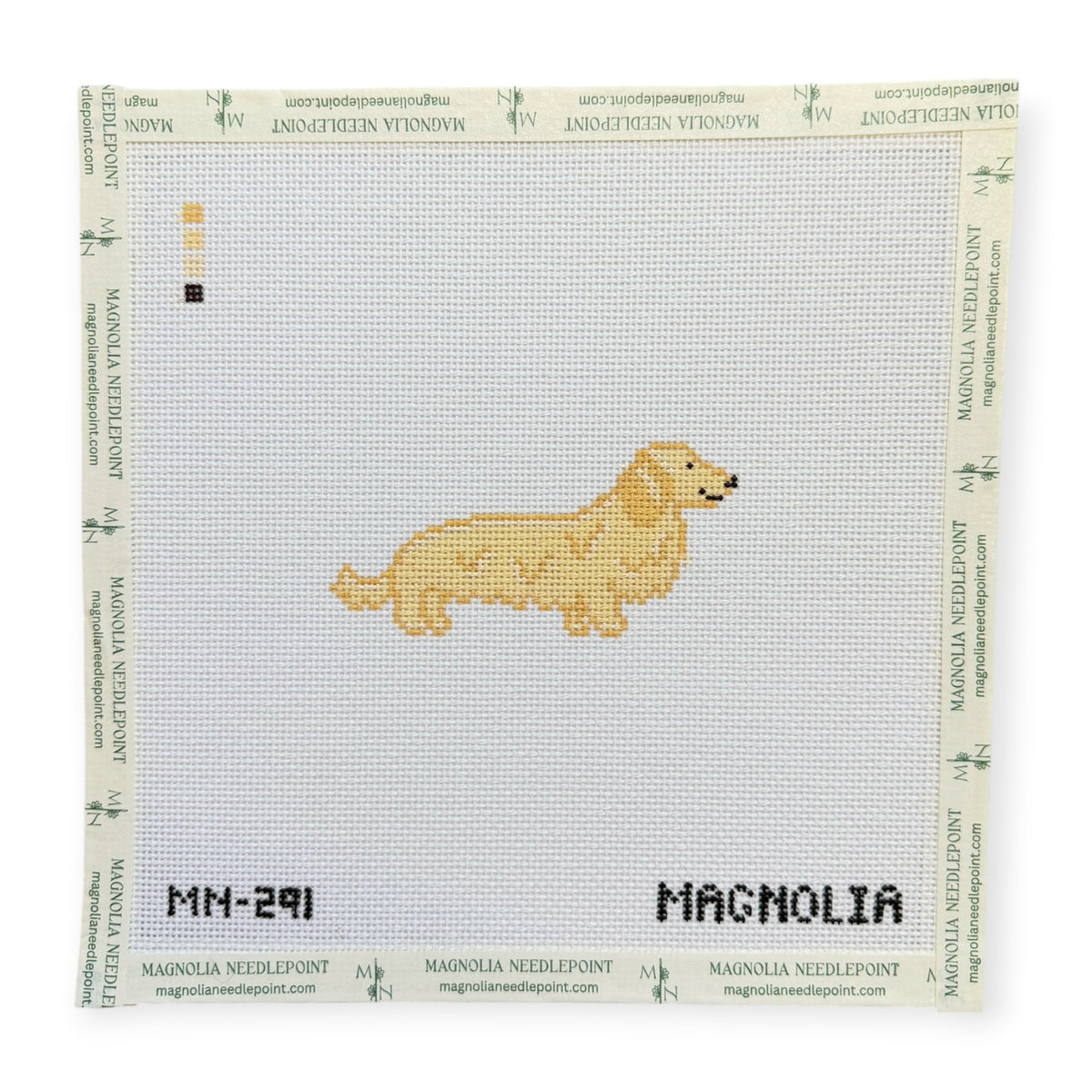 English Cream Long Haired Dachshund
