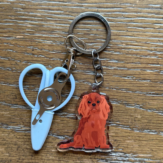 Ruby Red Cavalier King Charles Spaniel Notion Keychain