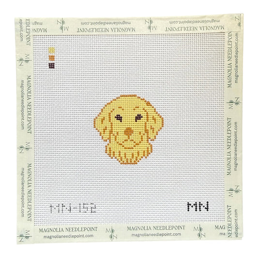 Golden Retriever Mini