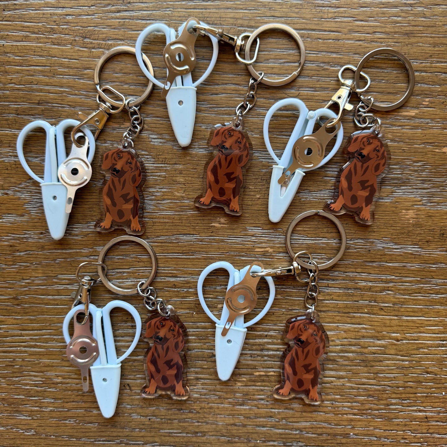 Brown Shorthaired Dachshund Notion Keychain