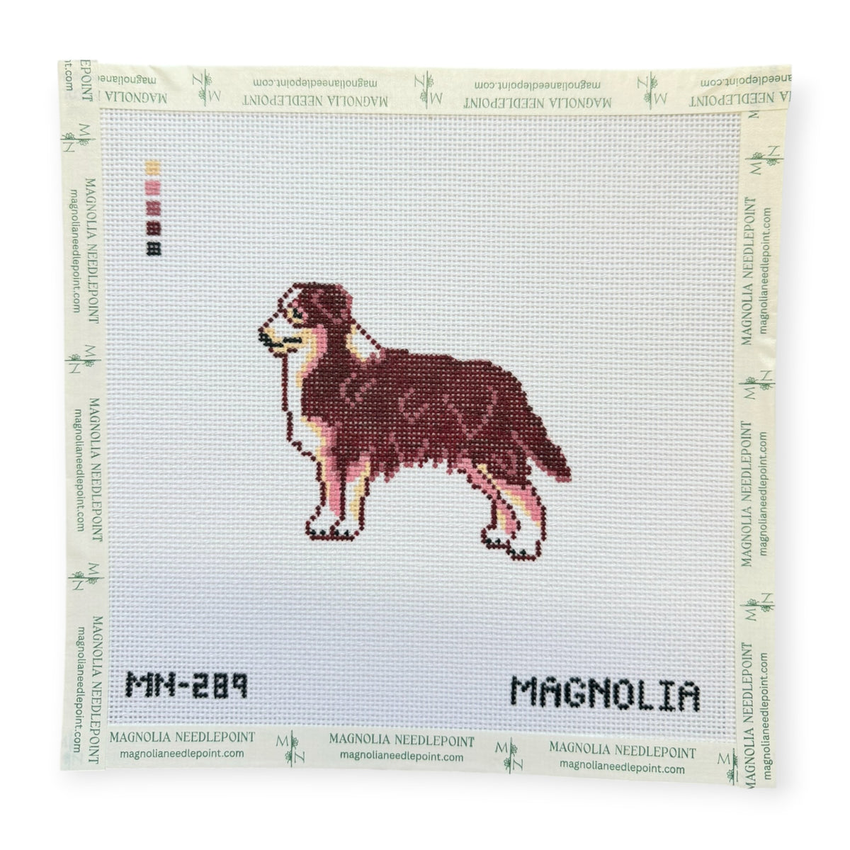 Australian Shepherd Brown/Red
