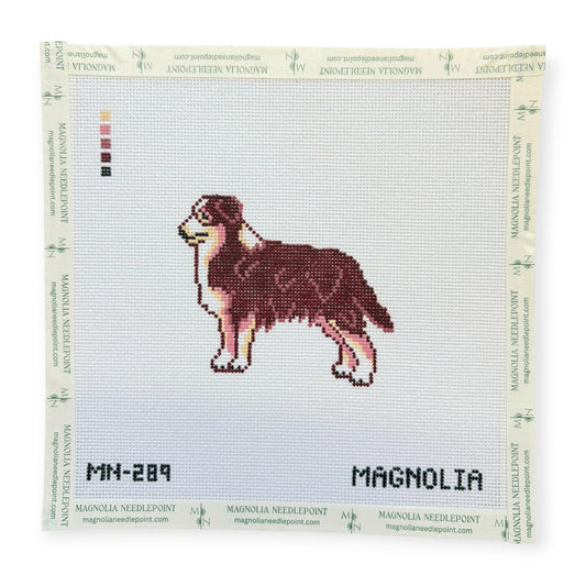 Australian Shepherd Brown/Red