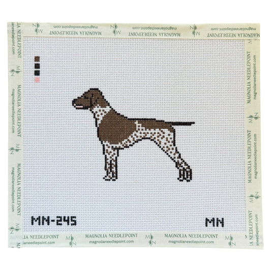 Brown German Shorthaired Pointer GSP