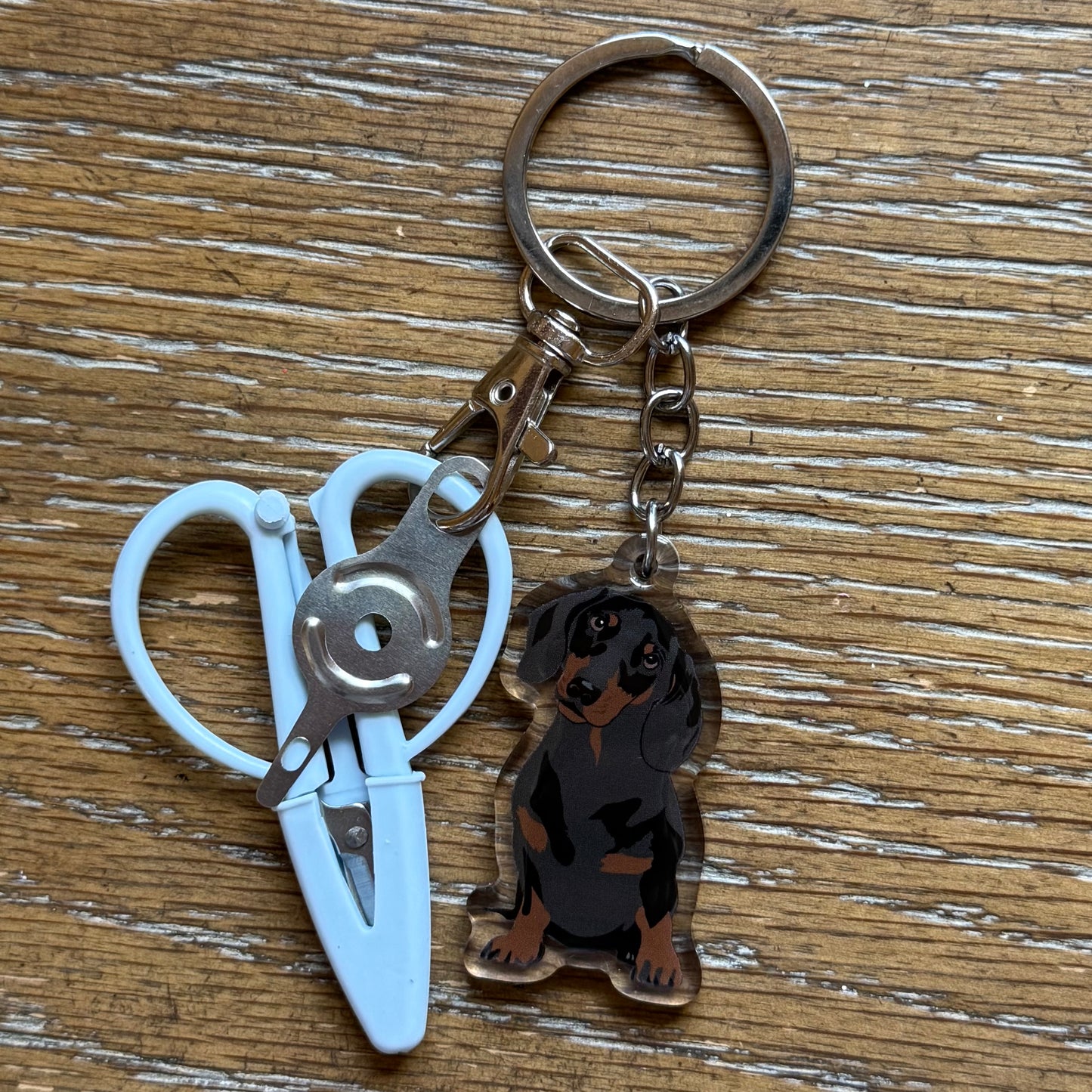 Black & Brown Shorthaired Dachshund Notion Keychain