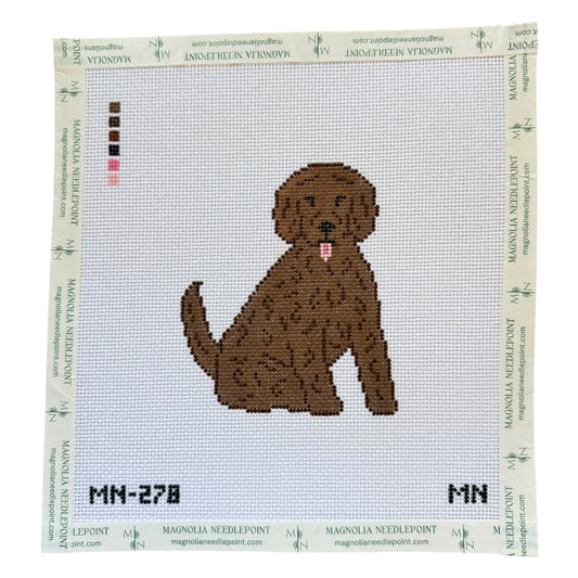 Brown Doodle / Poodle