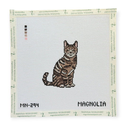 Brown / Gray Tabby Cat