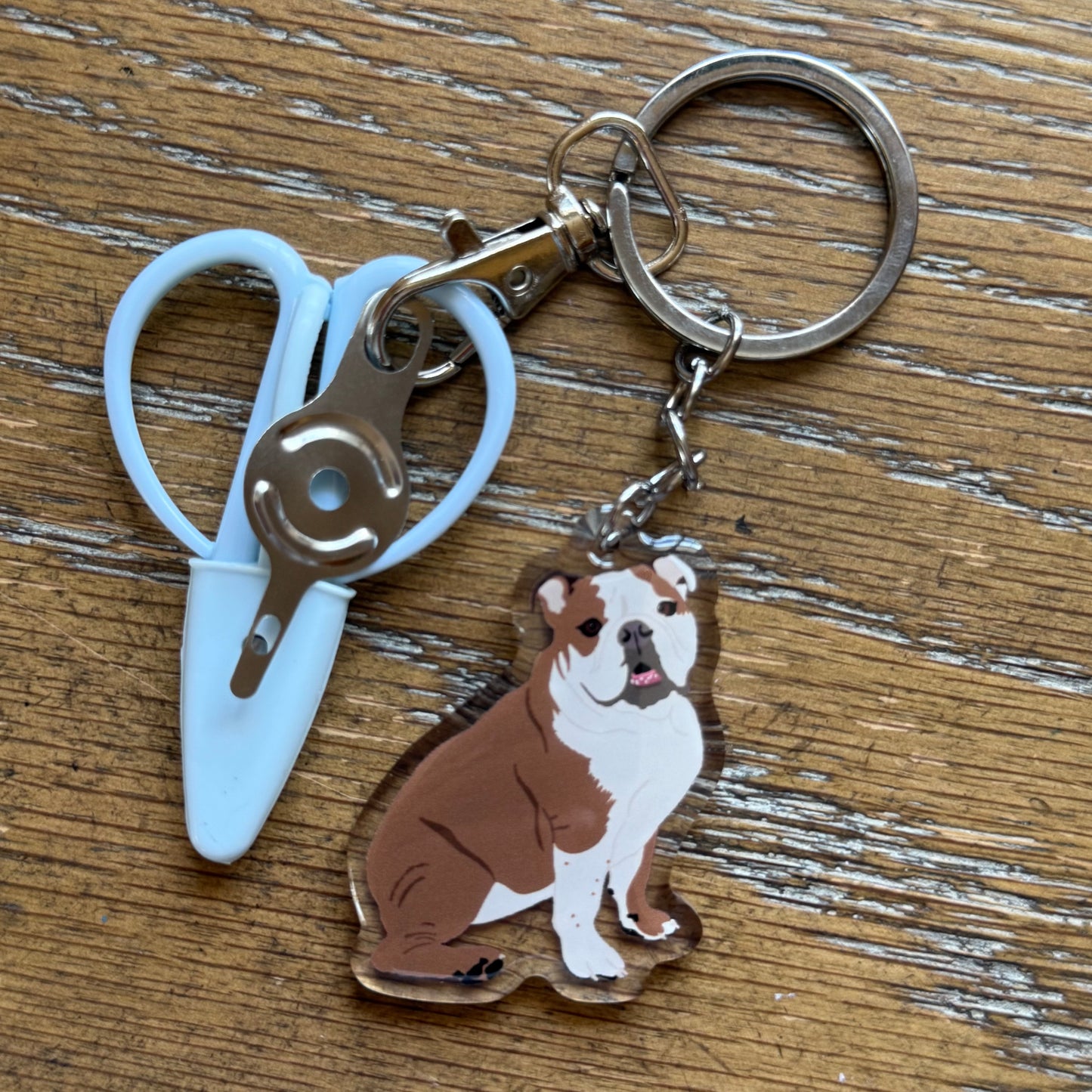 Bulldog Brown & White Notion Keychain