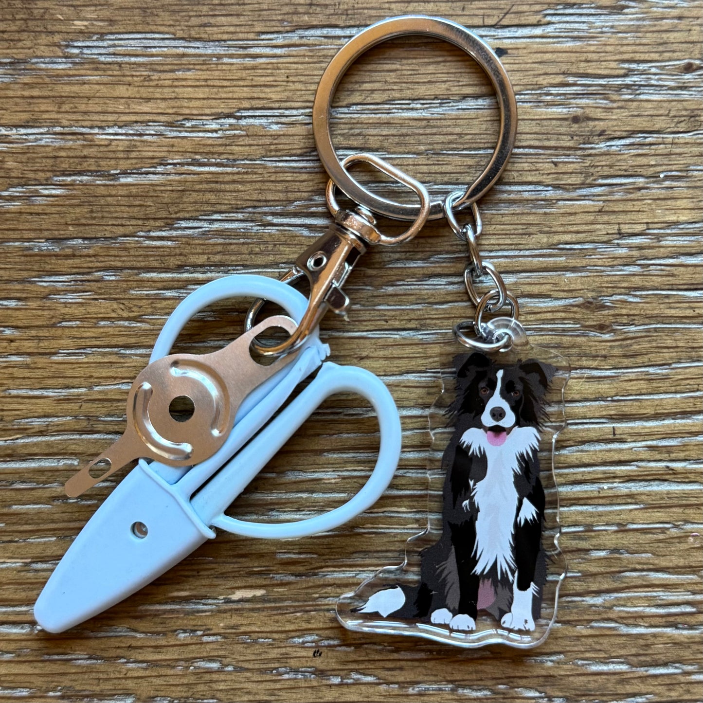 Black & White Border Collie Notion Keychain
