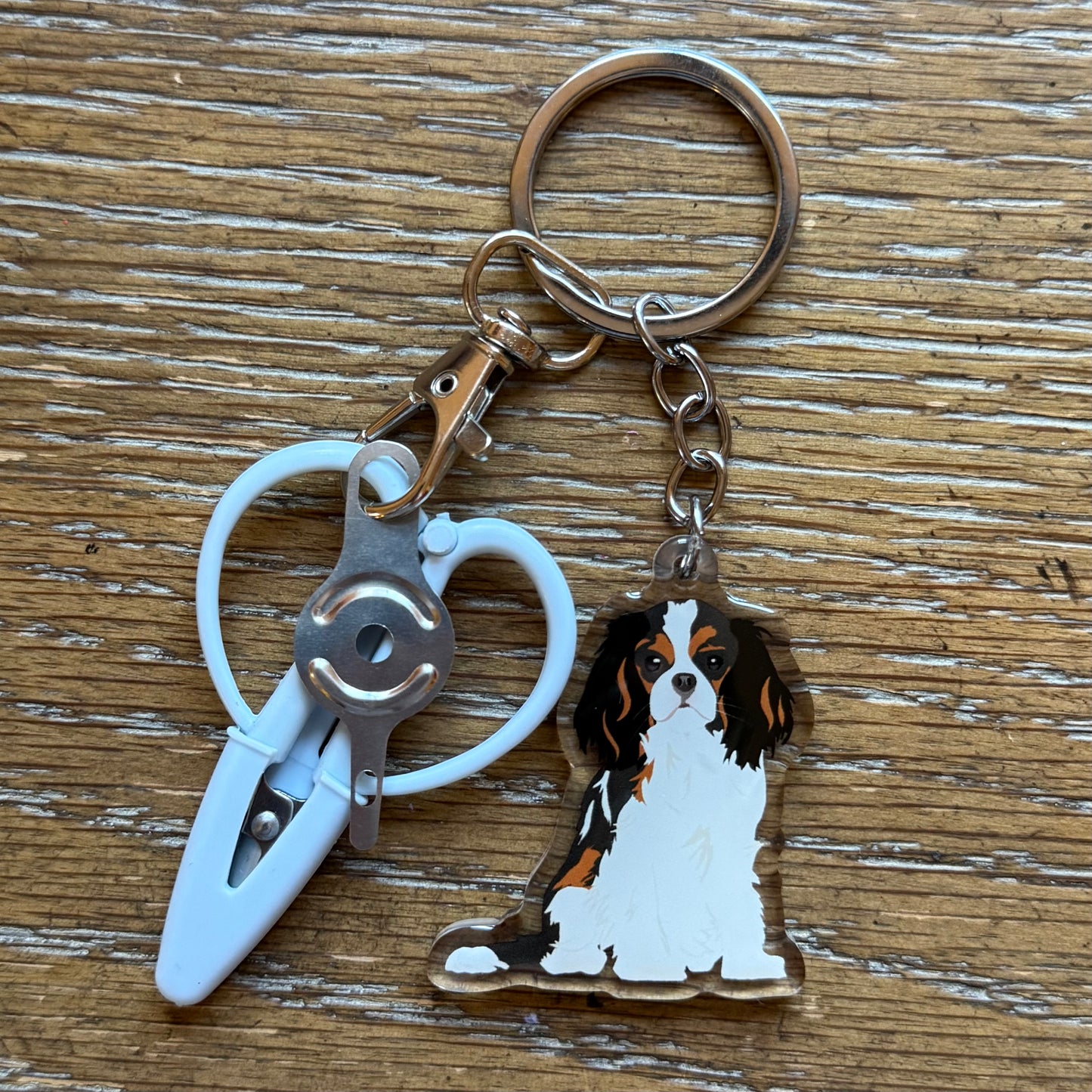 Black & Brown Cavalier King Charles Spaniel Notion Keychain