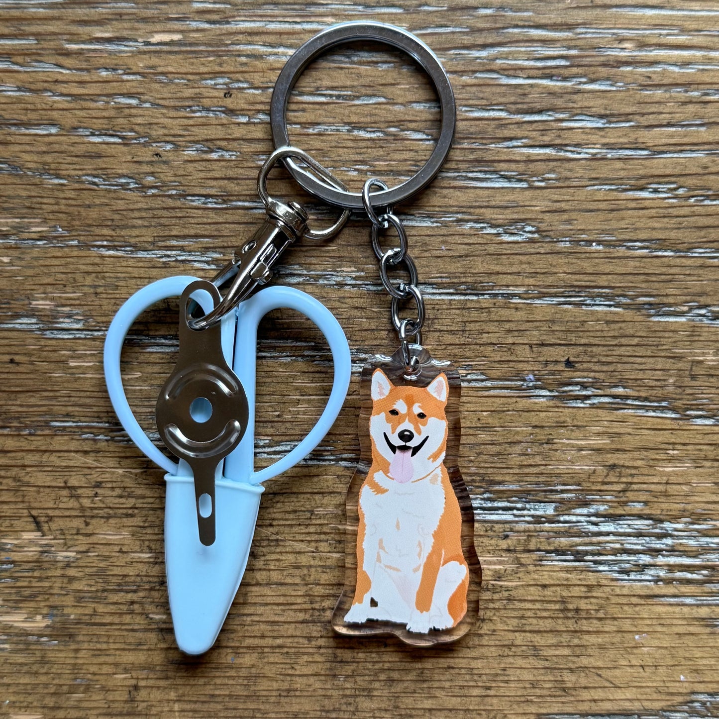 Shiba Inu / Akita Notion Keychain