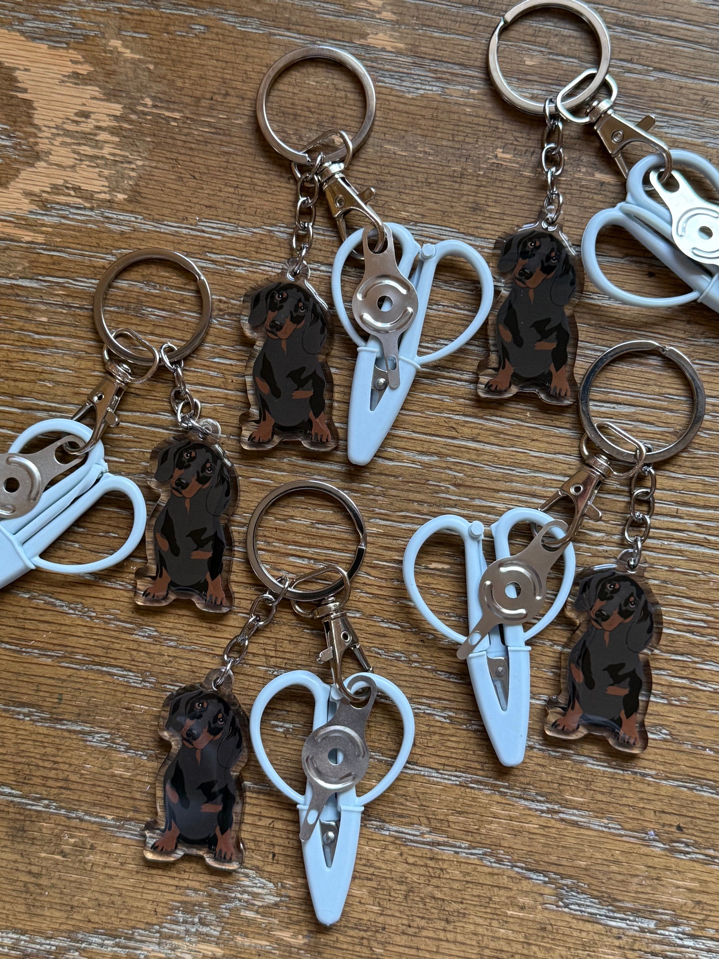 Black & Brown Shorthaired Dachshund Notion Keychain