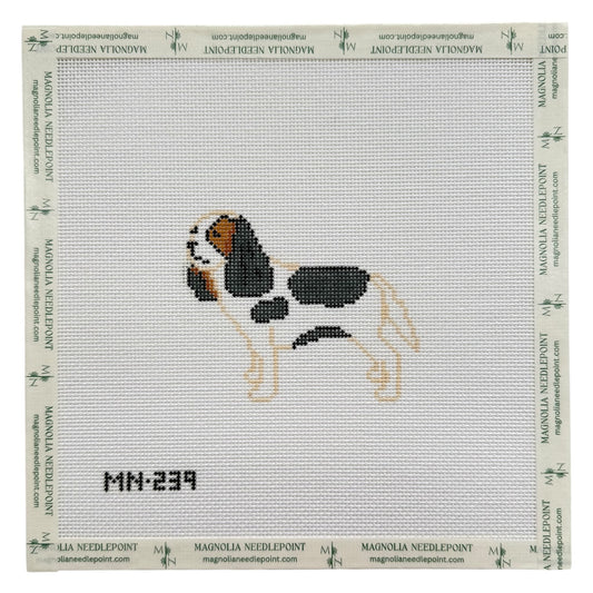 Preorder - Tri Color King Charles Cavalier