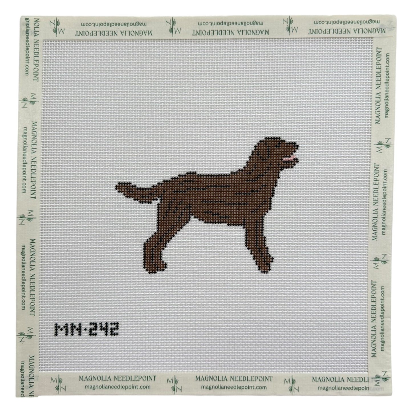 Chocolate Brown Labrador Retriever