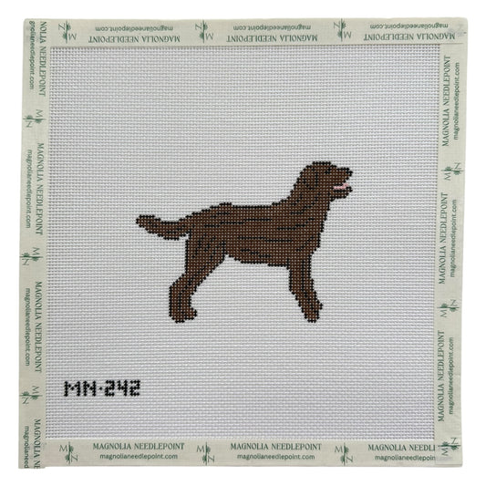 Chocolate Brown Labrador Retriever