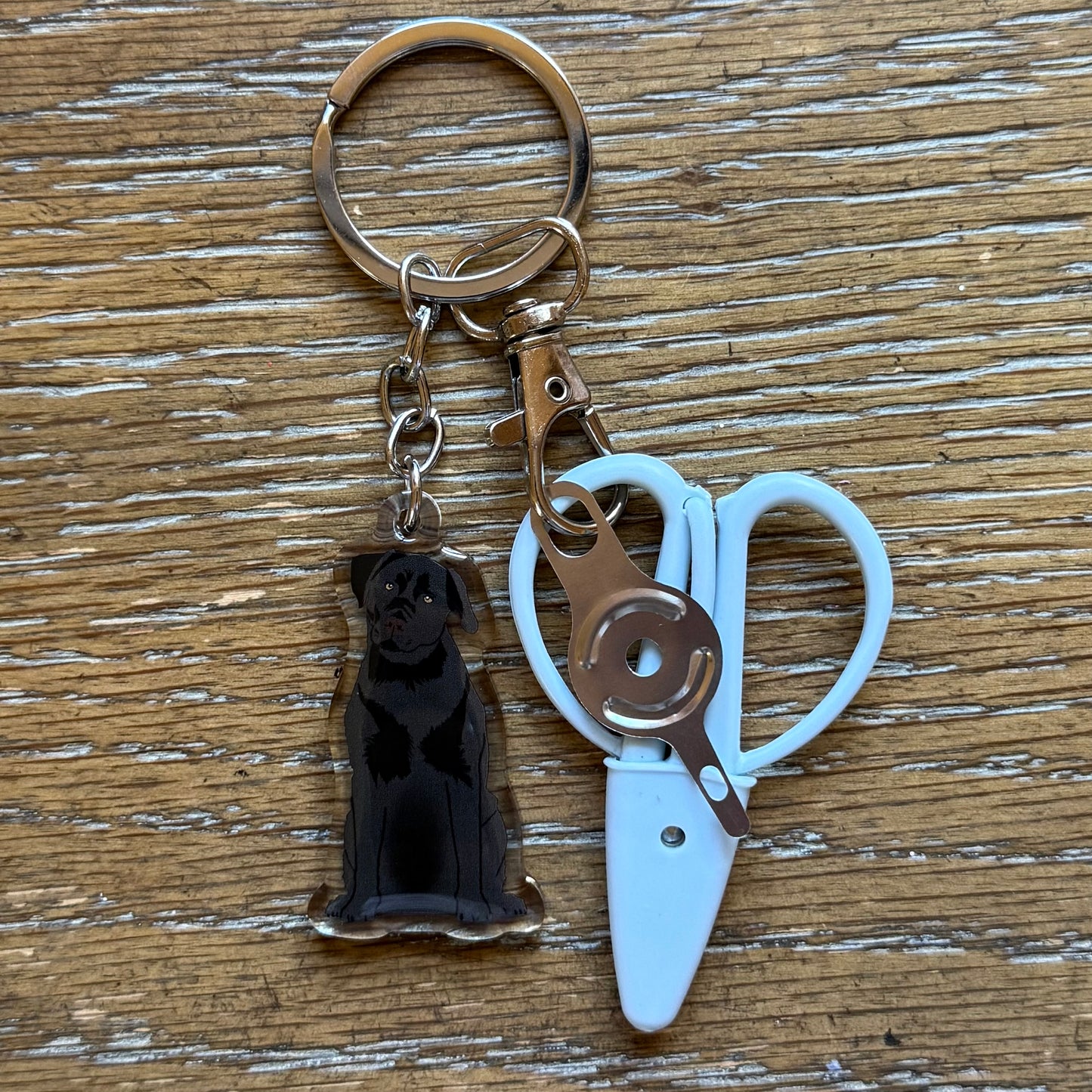 Black Lab Labrador Retriever Notion Keychain