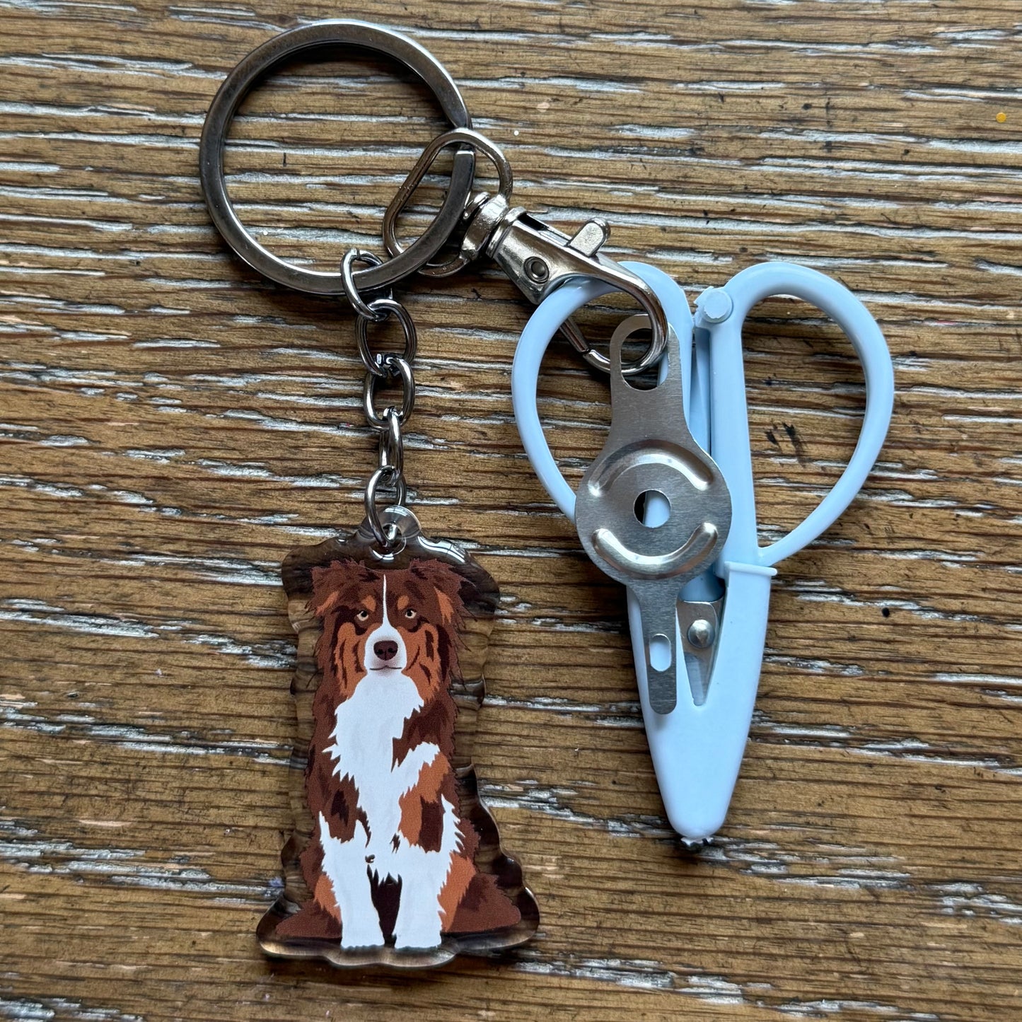 Australian Shepherd Brown/Red Notion Keychain